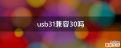 usb3.1兼容3.0吗