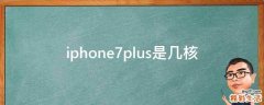 iphone7plus是几核